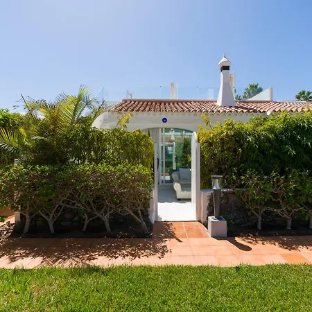 Faroquilla 파시토 블란코