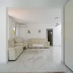 Faroquilla * Pasito Blanco